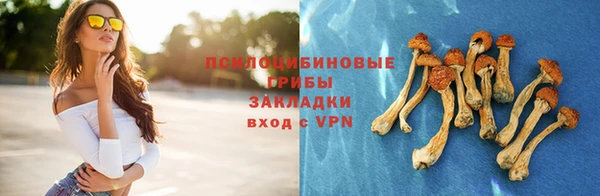ПСИЛОЦИБИНОВЫЕ ГРИБЫ Аркадак