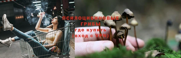 ПСИЛОЦИБИНОВЫЕ ГРИБЫ Аркадак