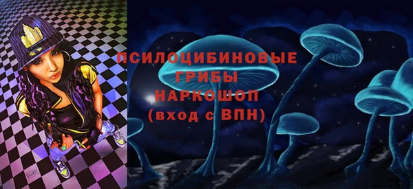 ПСИЛОЦИБИНОВЫЕ ГРИБЫ Аркадак