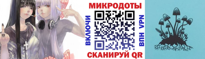 Галлюциногенные грибы мухоморы  купить наркотик  Сосновый Бор 
